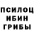 Псилоцибиновые грибы Cubensis LEM3K }