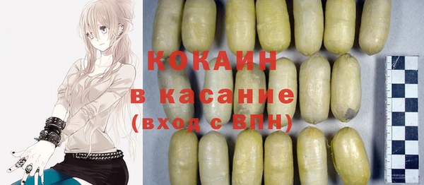 бошки Пересвет