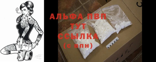 apvp Алексин