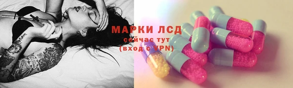 apvp Алексин